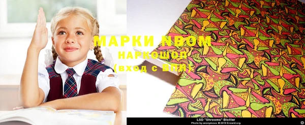 индика Елизово