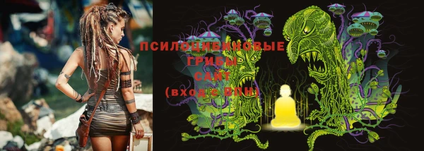 ALPHA-PVP Рославль