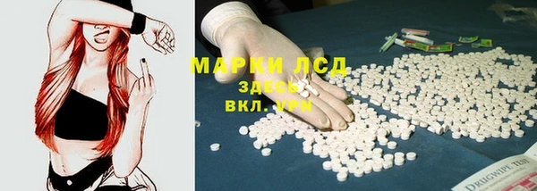 МДПВ Ельня